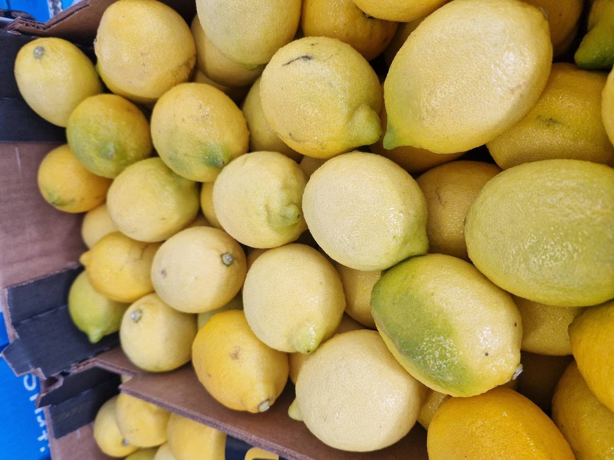 Limoni - Uruguay, prezzo 1,10-1,15 euro/kg